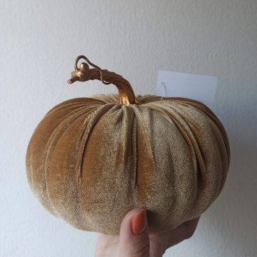 velvet pumpkin, gold stem